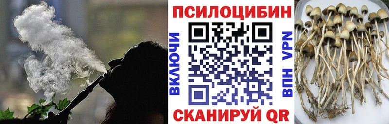 Галлюциногенные грибы ЛСД Чкаловск